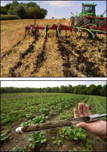 Turning Manure into Valuable Products - Organic Matter