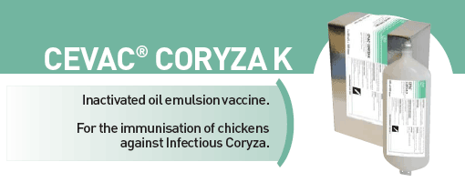 CEVA - CEVAC® CORYZA K For the immunisation of chickens against Infectious Coryza from CEVA SANTE ANIMALE