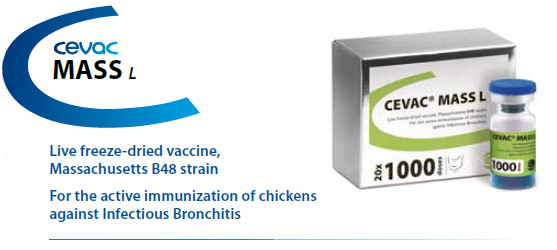 CEVAC® MASS L - For the active immunization of Chickens againstInfectious Bronchitis from CEVA SANTE ANIMALE