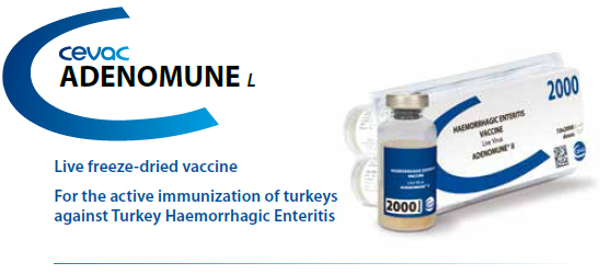 ADENOMUNE™ II - For the active immunization of Turkey's against Turkey Haemorrhagic Enteritis from CEVA SANTE ANIMALE