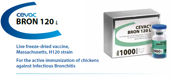 CEVAC® BRON 120 L - For the active immunization of Chickens against Infectious Bronchitis from CEVA SANTE ANIMALE