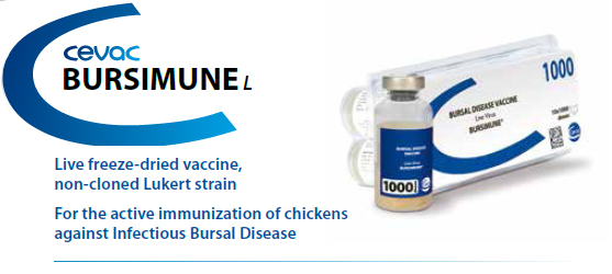 BURSIMUNE® - For the active immunization of Chickens against Infectious Bursal Disease from CEVA SANTE ANIMALE
