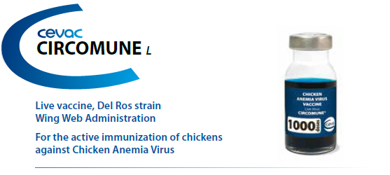 CIRCOMUNE® - For active immunization of chickens against Chicken Anemia Virus from CEVA SANTE ANIMALE