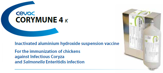 CEVA - CEVAC® CORYMUNE 4K For the immunisation of chickens against Infectious Coryza and Salmonella Enteritidis from CEVA SANTE ANIMALE