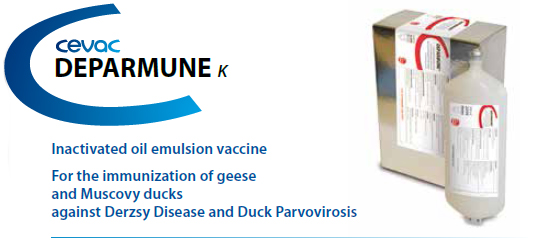 CEVA - DEPARMUNE® For the immunisation of Geese and Muscovy Ducks against Derzsy Disease and Duck Parvoviosis from CEVA SANTE ANIMALE