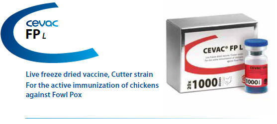 CEVAC® FP L - For the active immunization of chickens against Fowl Pox from CEVA SANTE ANIMALE