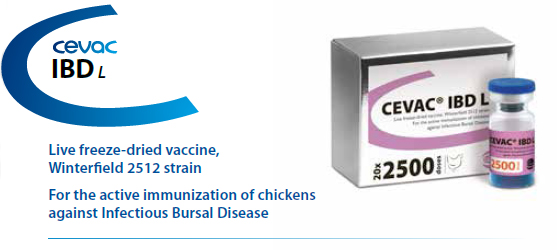CEVAC® IBD L - For the active immunization of Chickens against Infectious Bursal Disease from CEVA SANTE ANIMALE