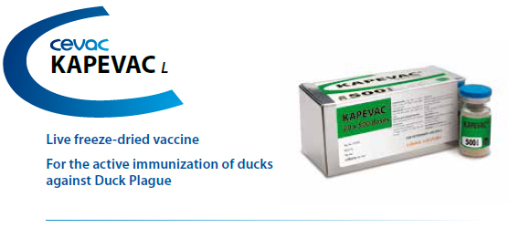 KAPEVAC® - For the active immunization of Duck's against Duck Plague from CEVA SANTE ANIMALE