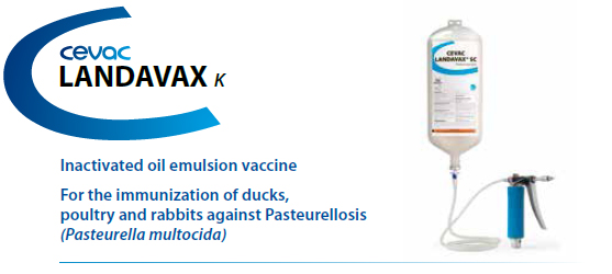 CEVA - LANDAVAX® - For the immunisation of ducks, poultry and rabbits against Pasteurellosis (Pasteurella multocida) from CEVA SANTE ANIMALE