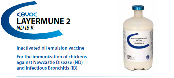 LAYERMUNE® 2 -For the immunisation of chickens against Newcastle Disease and Inectious Bronchitis from CEVA SANTE ANIMALE