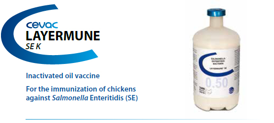 LAYERMUNE® SE 0.50 ml: Inactivated oil emulsion vaccine
For the immunization of chickens
