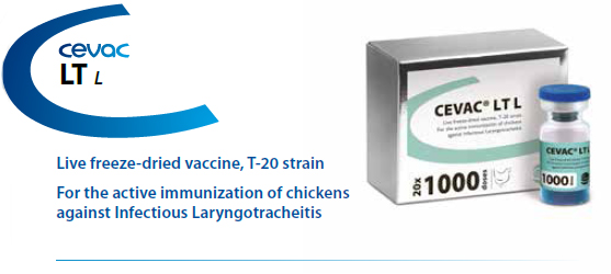 CEVAC® LT L - For the active immunisation of chickens against Infectious Laryngotracheitis from CEVA SANTE ANIMALE