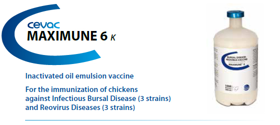 CEVA - MAXIMUNE® 6 For the immunisation of chickens against Infectious Bursal Disease and Reovirus Diseases from CEVA SANTE ANIMALE