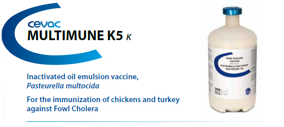 CEVA - MULTIMUNE K5™ for the immunisation of chickens and turkey against Fowl Cholera from CEVA SANTE ANIMALE