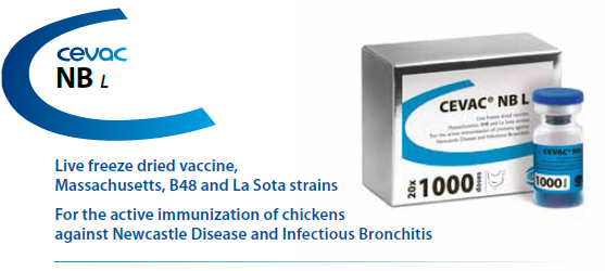 CEVAC® NB L - For the active immunization of Chickens against Newcastle Disease and Infectious Bronchitis from CEVA SANTE ANIMALE