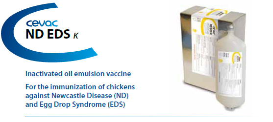 CEVA - CEVAC® ND EDS K For the immunisation of chickens against Newcastle Disease and Egg Drop Syndrome from CEVA SANTE ANIMALE