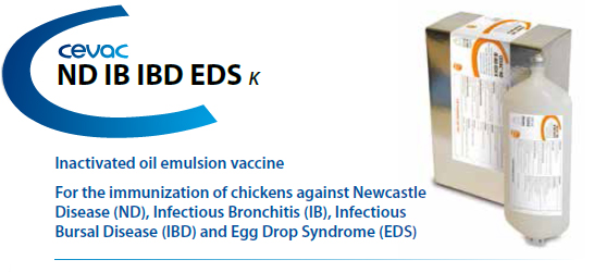 CEVA - CEVAC® ND IB IBD EDS K For the immunisation of chickens against Newcastle Disease, Infectious Bronchitis and Egg Drop Syndrome from CEVA SANTE ANIMALE