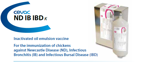 CEVA - CEVAC® ND IB IBD K For the immunisation of chickens against Newcastle Disease, Infectious Bronchitis and Infectious Bursal Disease from CEVA SANTE ANIMALE