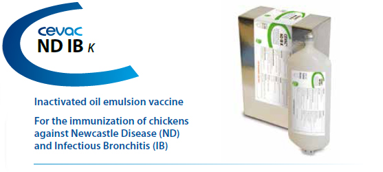CEVA - CEVAC® ND IB IBD EDS K For the immunisation of chickens against Newcastle Disease, Infectious Bronchitis and Egg Drop Syndrome from CEVA SANTE ANIMALE