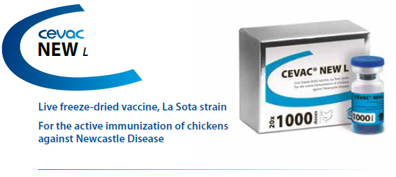 EVAC® NEW L - For the active immunization of Chickens against Newcastle Disease from CEVA SANTE ANIMALE