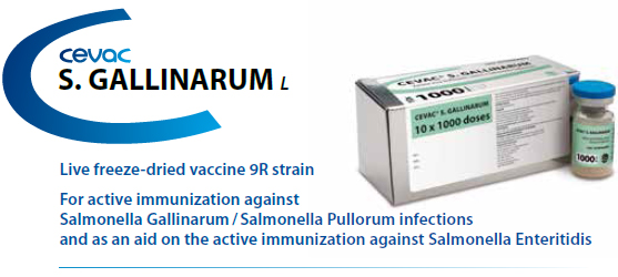 CEVAC® S.Gallinarum  - For the active immunization against Salmonella gallinarum from CEVA SANTE ANIMALE