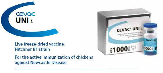 CEVAC® UNI L - For the active immunization of Chickens against Newcastle Disease from CEVA SANTE ANIMALE