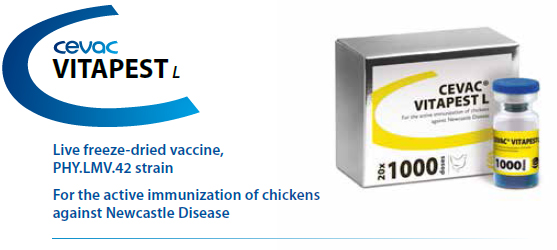 CEVAC® VITAPEST L - For the active immunization of Chickens against Newcastle Disease from CEVA SANTE ANIMALE