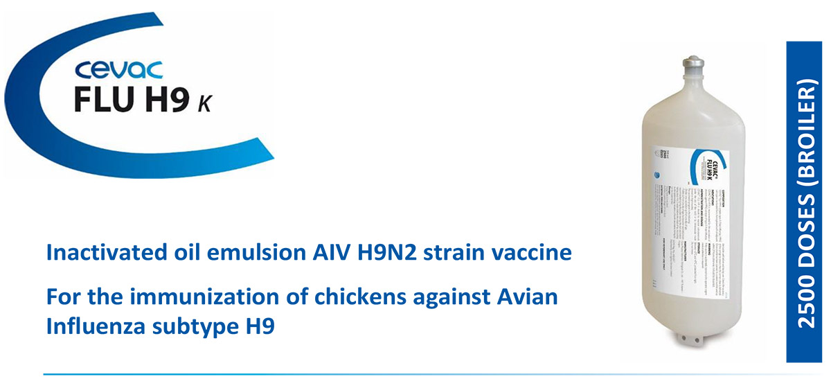 CEVA - CEVAC® FLU H9 K For the immunization of chickens against Avian Influenza subtype H9 from CEVA SANTE ANIMALE
