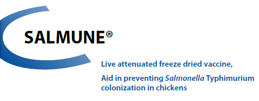 SALMUNE® - Aid in preventing Salmonella typhimurium colonization in chickens from CEVA SANTE ANIMALE
