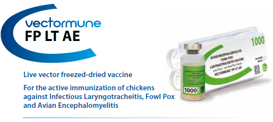 CEVA - VECTORMUNE® FP LT AE - For the active immunization of Chickens against Fowl Pox, Infectious Laryngotracheitis and Avian Encephalomyelitis from CEVA SANTE ANIMALE