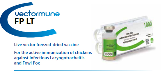 CEVA - VECTORMUNE® FP LT - For the active immunization of Chickens against Fowl Pox and Infectious Laryngotracheitis from CEVA SANTE ANIMALE