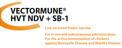 VECTORMUNE® HVT NDV & SB1 - For the active immunization of Chickens against Marek Disease and Newcastle Disease from CEVA SANTE ANIMALE