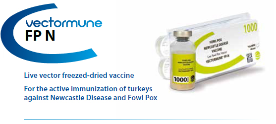 VECTORMUNE® FP N - For the active immunization of Turkey against Fowl Pox and Newcastle Disease from CEVA SANTE ANIMALE