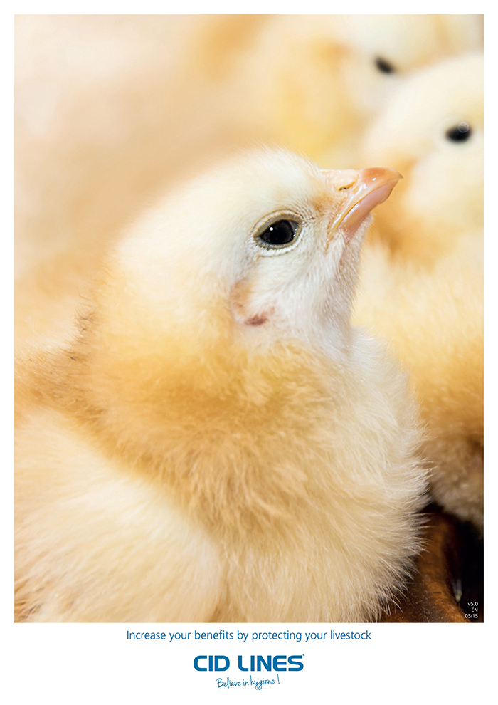 CID Lines - Catalogue Poultry