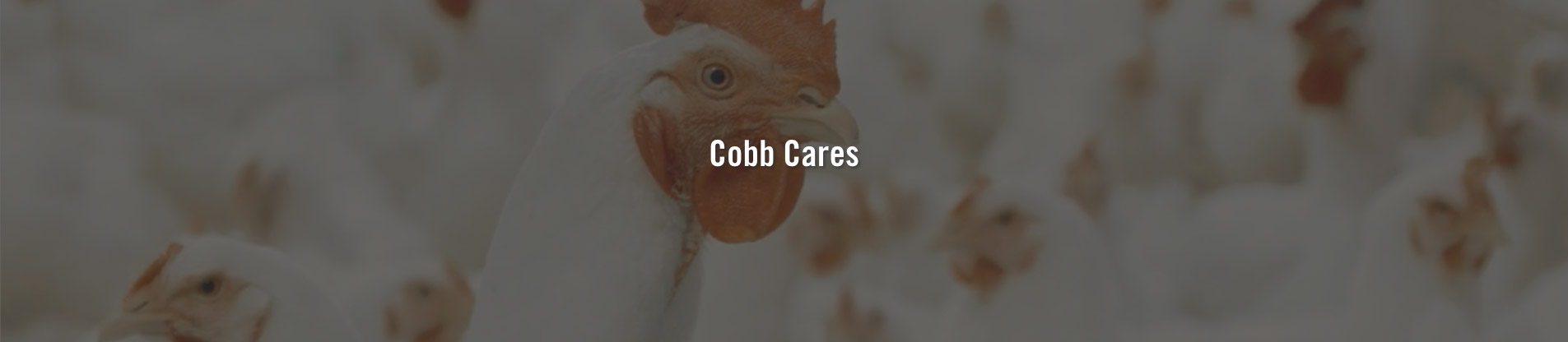 Cobb Cares - Cobb