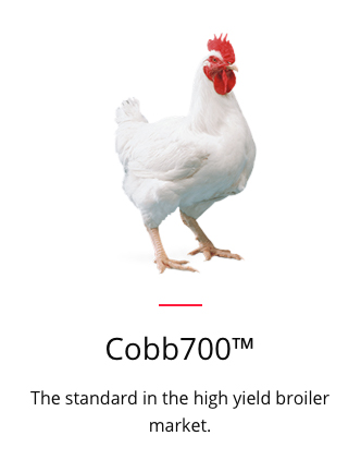 Cobb700