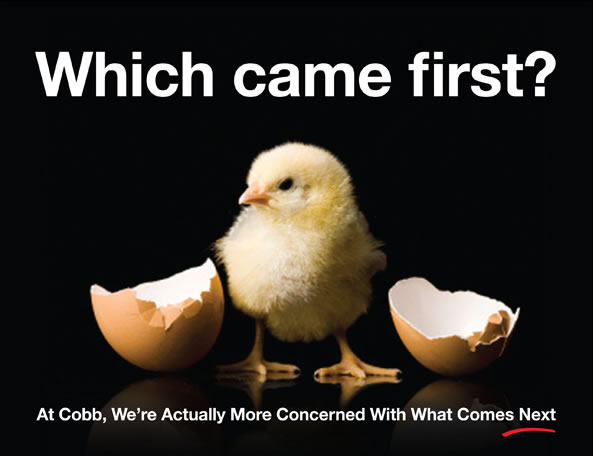 Which came first? - Cobb