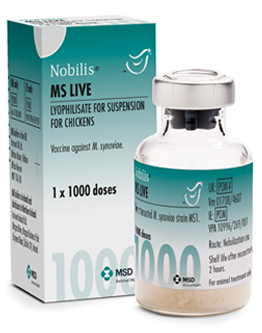 Nobilis® MS live