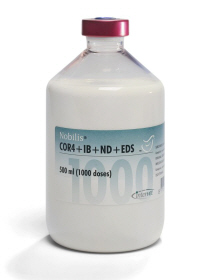 NOBILIS COR4+IB+ND+EDS from MSD Animal Health