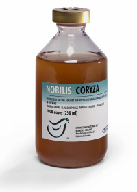 NOBILIS CORYZA from MSD Animal Health