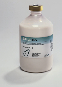 NOBILIS EDS from MSD Animal Health