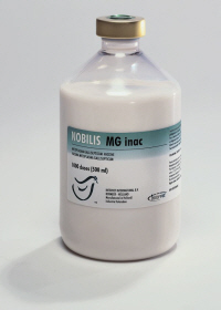 NOBILIS MG INAC from MSD Animal Health