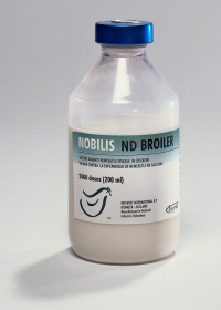 NOBILIS ND BROILER from MSD Animal Health