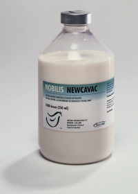 NOBILIS NEWCAVAC from MSD Animal Health