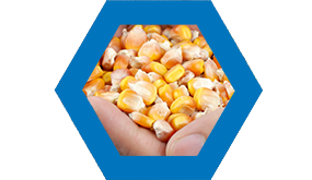 Nutriad Products - Mycotoxin Management