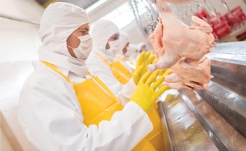 Poultry Health Today - Expert Advice