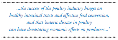 Success of the poultry industry