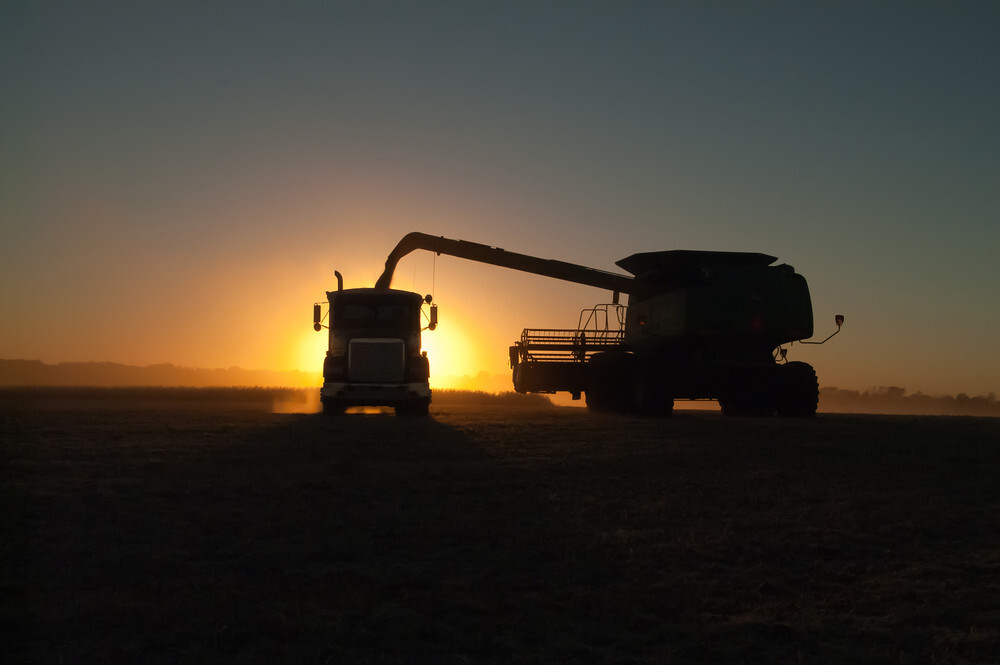 USDA details $12B farm aid as soybean growers warn it falls short