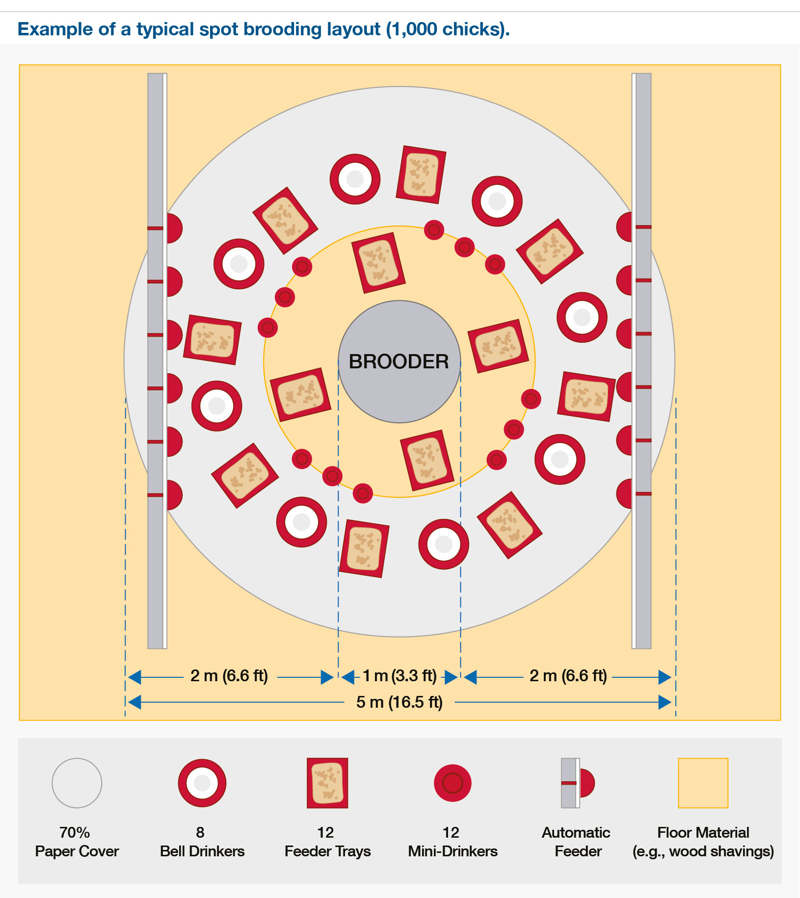 A guide for farm preparation, chick quality, placement, behaviour ...
