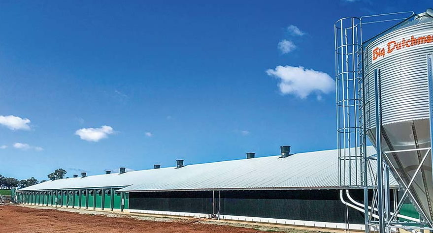 Poultry house with pad cooling technology